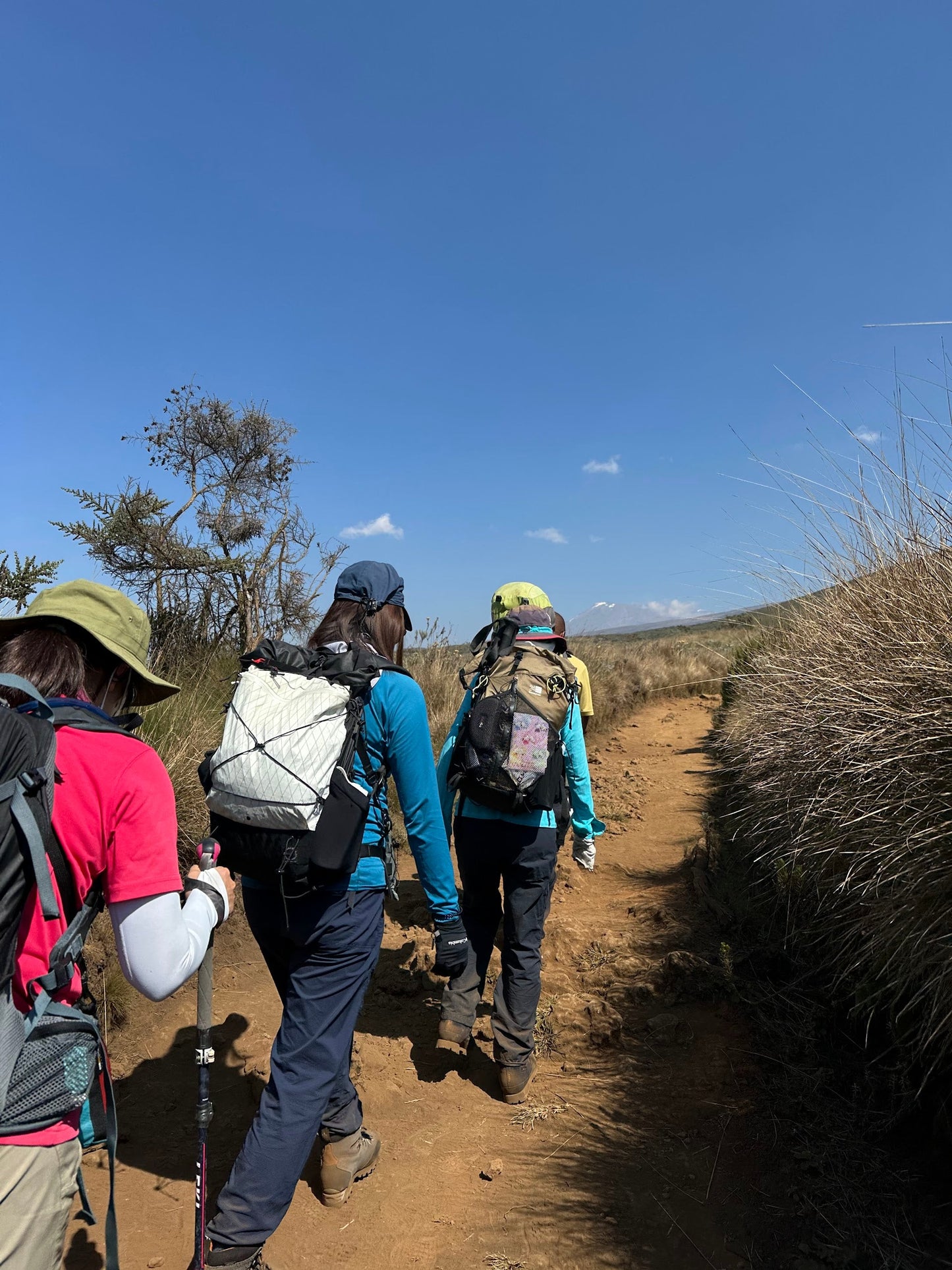 Kilimanjaro Machame Route + Arusha National Park Safari | Climb High, Roam Wild