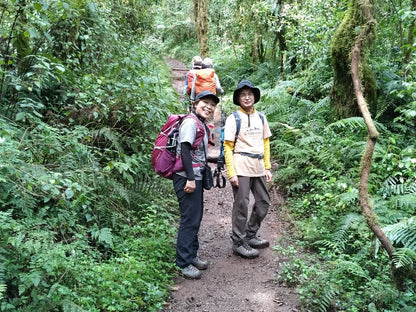 Kilimanjaro Machame Route + Arusha National Park Safari | Climb High, Roam Wild