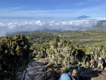 Kilimanjaro Machame Route + Arusha National Park Safari | Climb High, Roam Wild