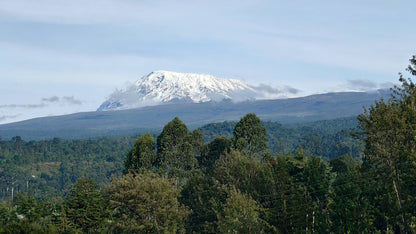 Kilimanjaro Marangu Route - kilimanjaro overview