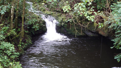 Kilimanjaro Marangu Route - rainforest waterfall