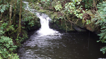 Kilimanjaro Marangu Route - rainforest waterfall