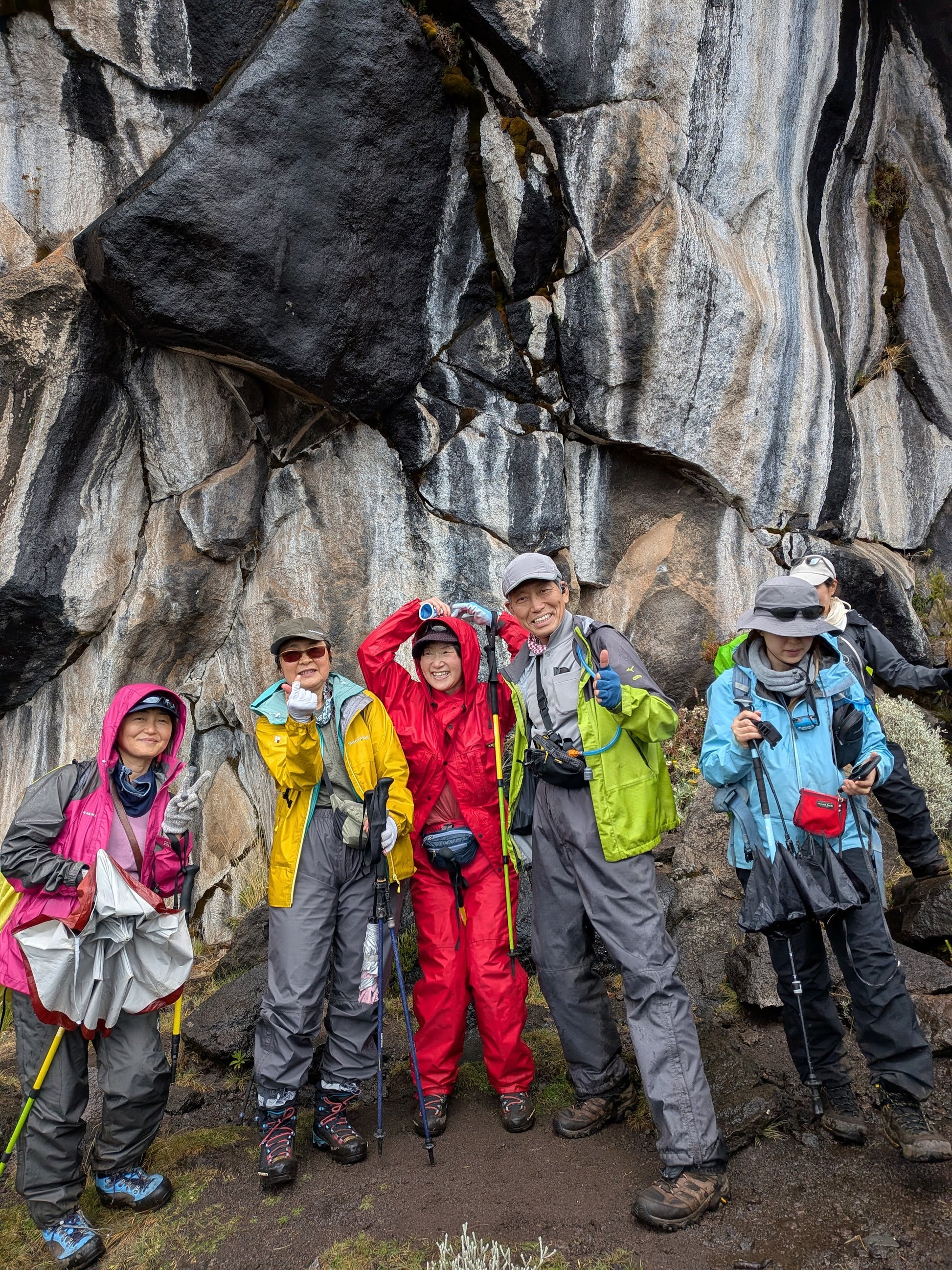 Kilimanjaro Marangu Route - zebra rock group